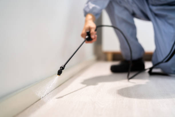 Rodent Entry Point Assessment in Oak Hills