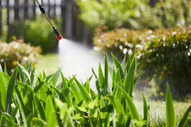 Tamper-Resistant Bait Stations for Rodents in Oak Hills