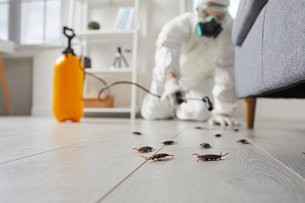 Commercial Rodent Management in Oak Hills